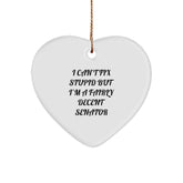 Funny Senator Heart Ornament, Gift for Men Senators, Christmas Unique Gifts from Friends or Family, Inspirational Senator Quotes - Image 1